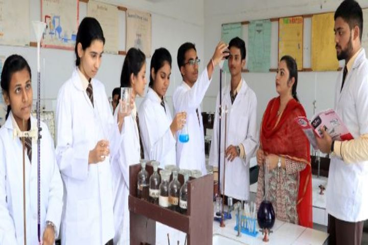 Shishu Niketan Public School-Chemistry