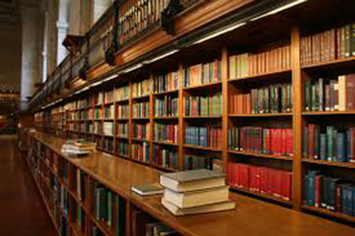 Master Mind Public School-Library