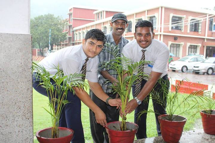 Nirmala Convent Senior Secondary School-Tree Planatation