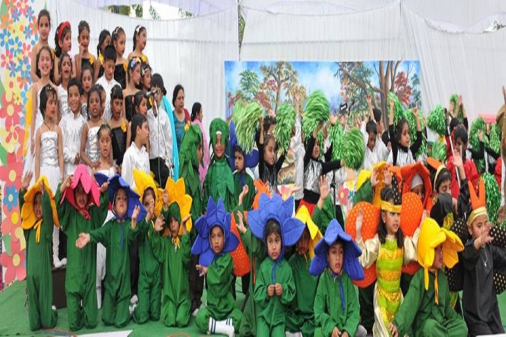 Sri Guru Harkrishan Public School-Annual play