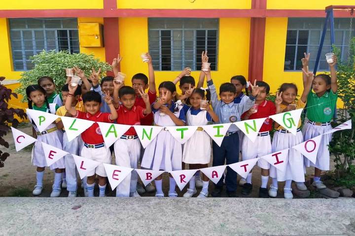 R C D Public School-Plantation Celebration