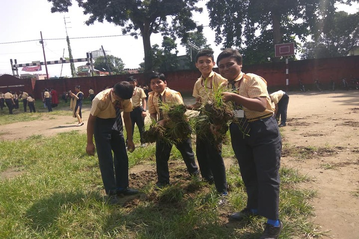 Renaissance Dron School-Cleanliness Program