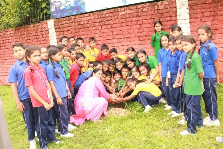 S N Memorial Public School-Plantation