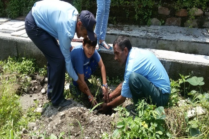 Sai Grace Academy International-Plantation