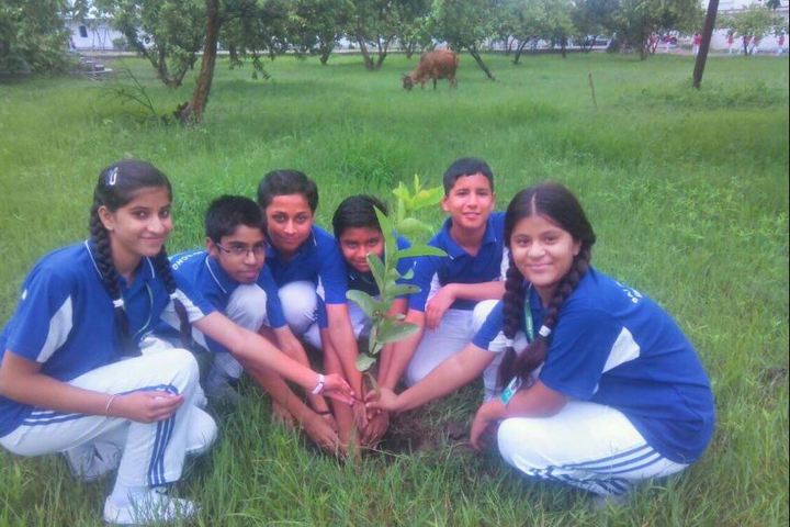 Sai Public School-Plantation