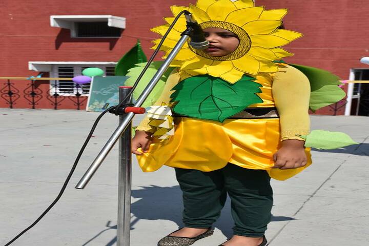 Saraswati Academy-Fancy Dress