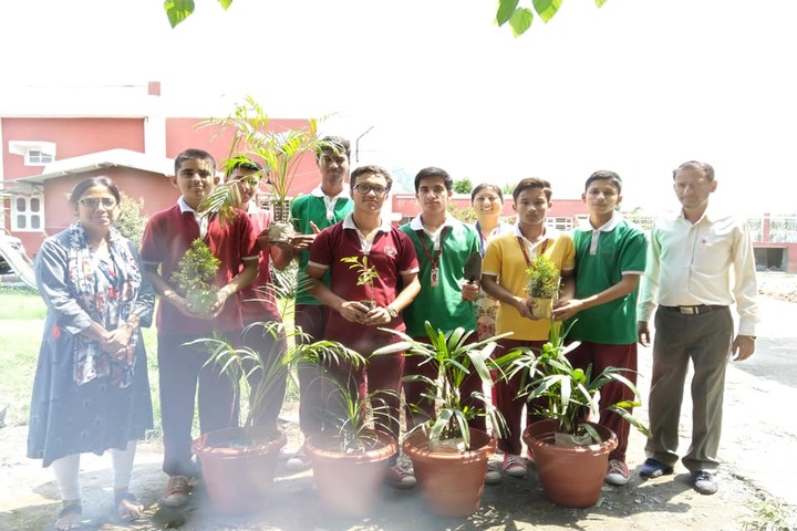 Saraswati Academy-Plantation