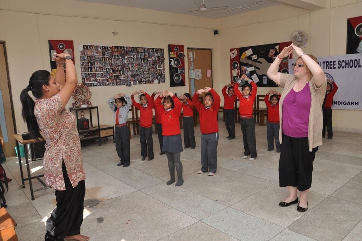 The Banyan Tree School-Dance class