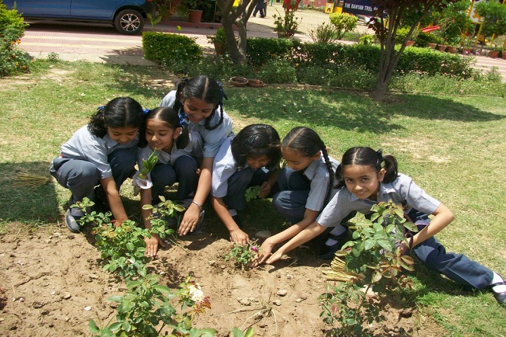 The Banyan Tree School-Plantation