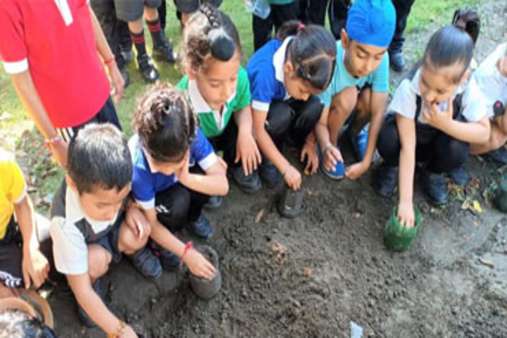 G D Goenka Public School-Plantation Activity