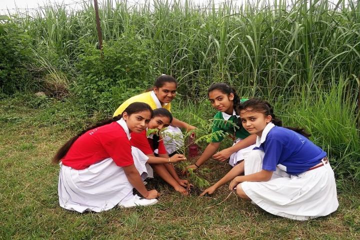 The Horizon School-Plant A Tree