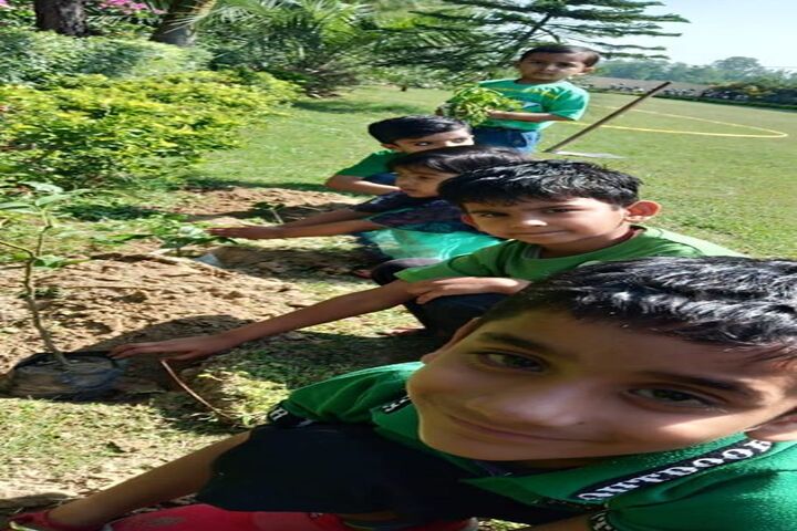 The Laureate School-Tree Plantation