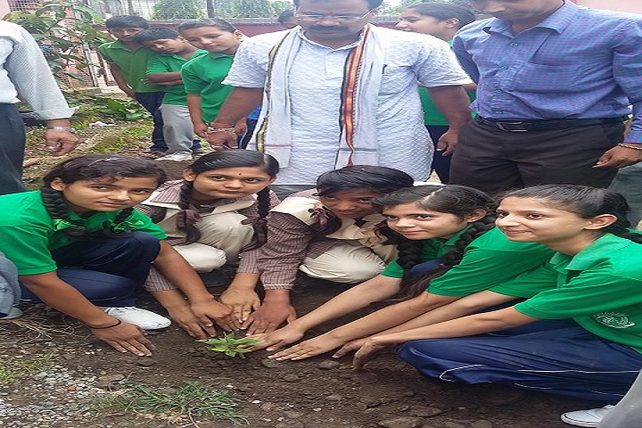 Vendy Senior Secondary School-Tree Plantation
