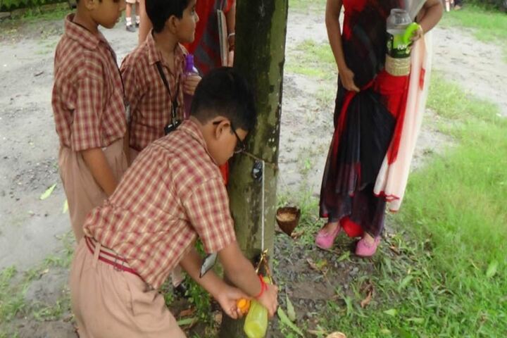 Amrita Vidyalayam - Plantation