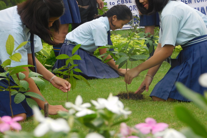 Bodhicariya Senior Secondary School-Plant A Tree