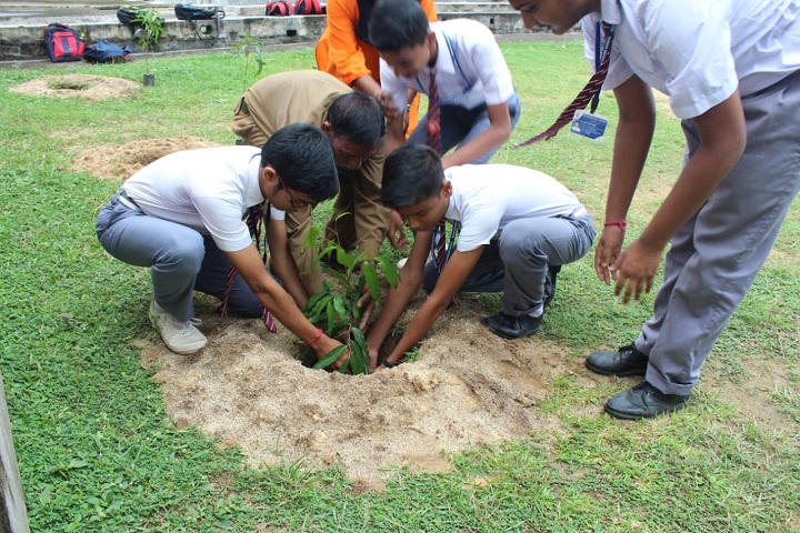 Burnpur Riverside School-Plantation