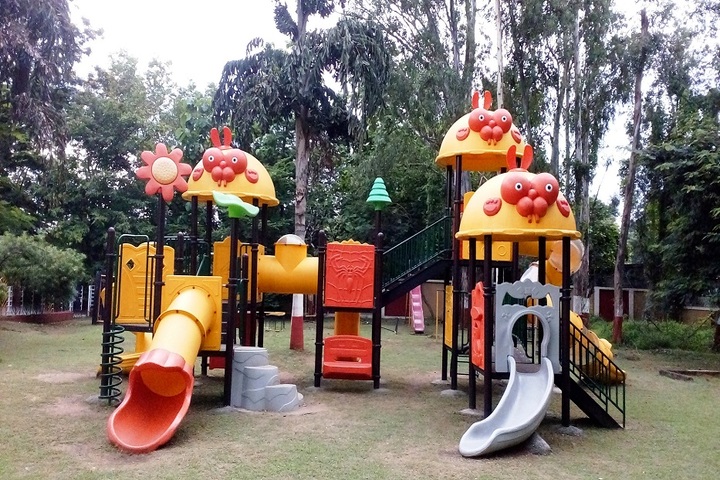D A V Model School-Kindergarten