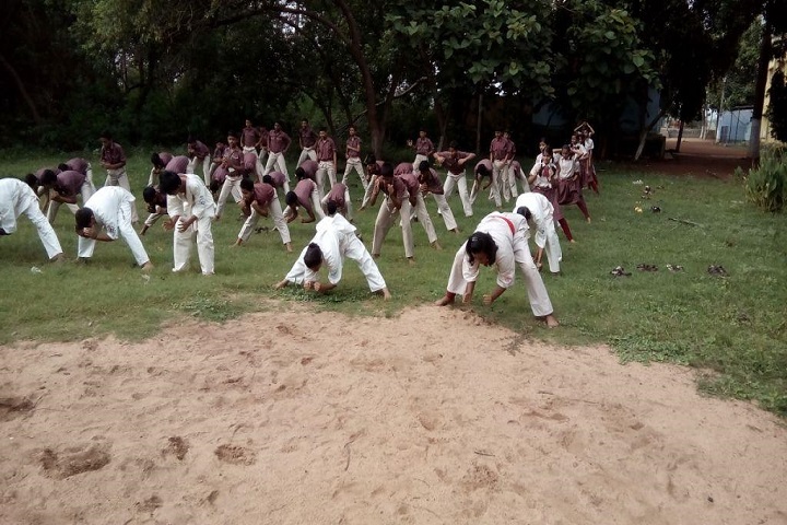Dav Public School-Karate