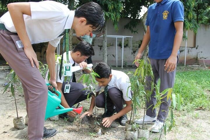 Delhi Public School-Plant A Tree