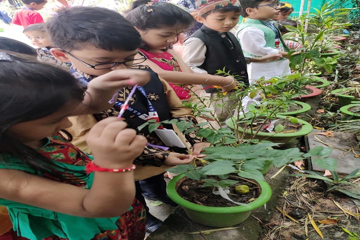 G D Goenka Public School-Tree Plantation