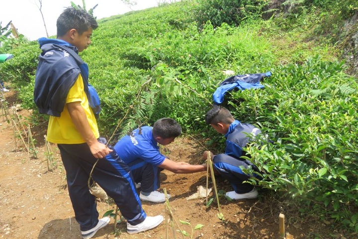 Godwin Modern School-Tree Plantation