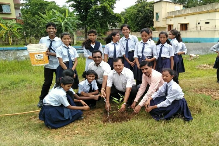 Jawahar Navodaya Vidyalaya-Planting Tree