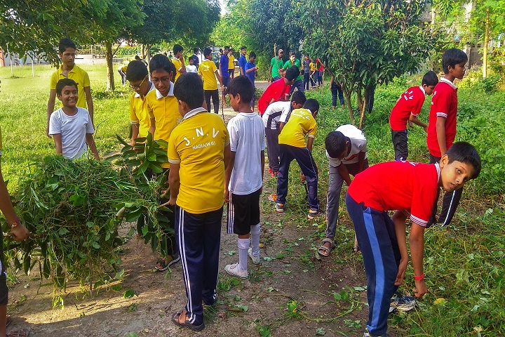 Jawahar Navodaya Vidyalaya-Greenary maintanence