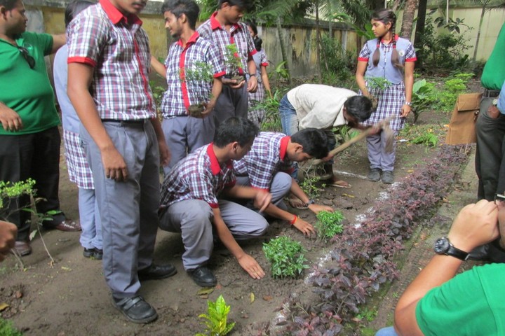 Kendriya Vidyalaya-Plantation