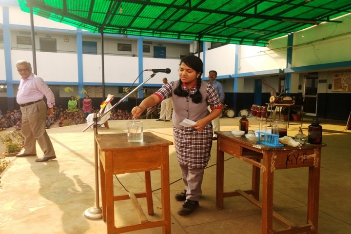 Kendriya Vidyalaya-Activity