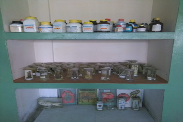 Kendriya Vidyalaya No 2-Biology-Lab