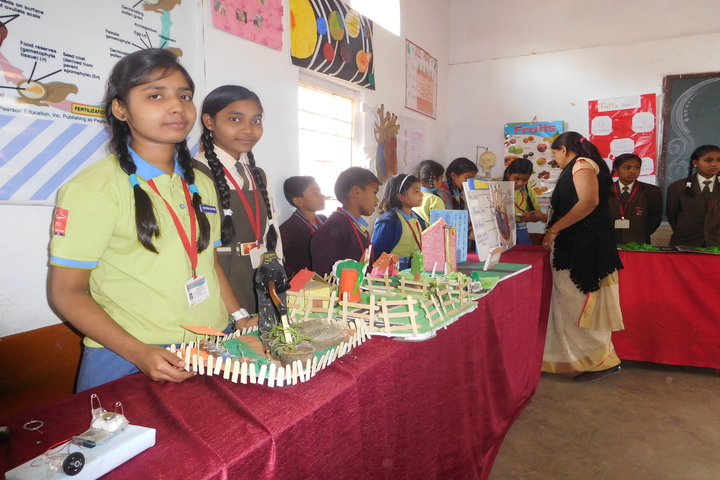 Bhilai Public School-Exhibition