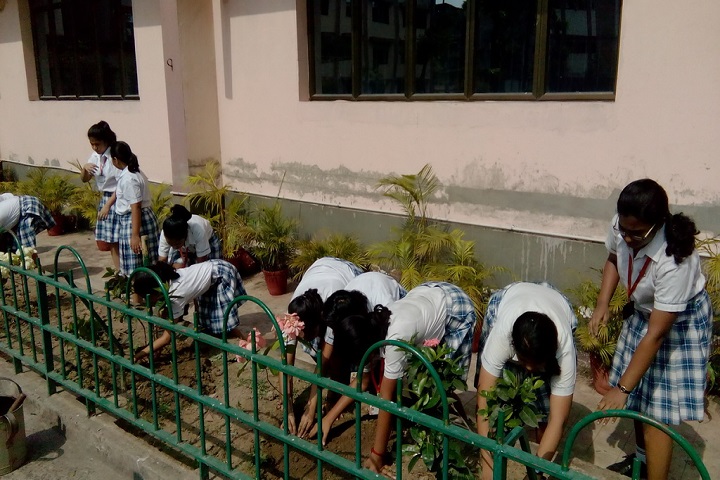 Mahadevi Birla World Academy-Tree Plantation