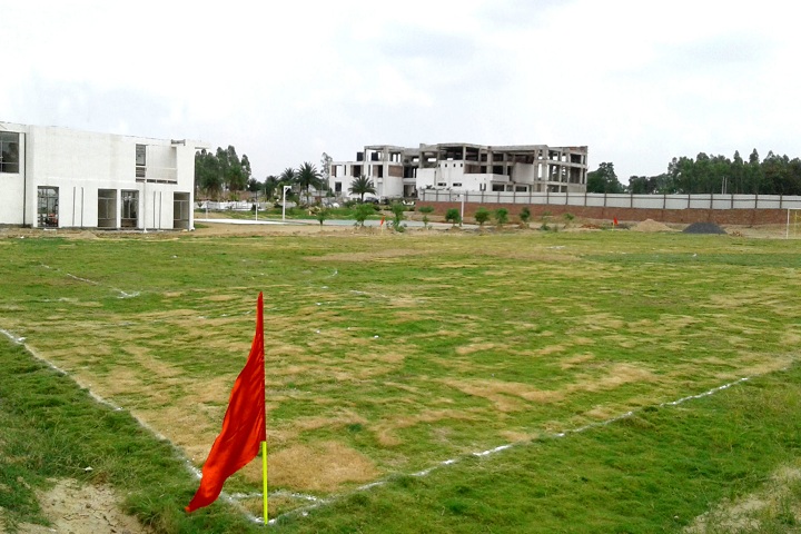 Saraswati Devi International School-Play Ground