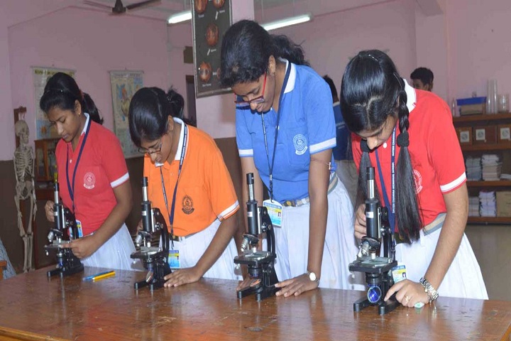 Satish Chandra Memorial School-Lab