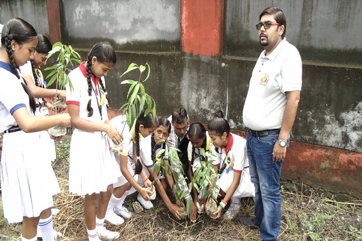Shri Krishna Pranami Vidya Niketan-Plantation