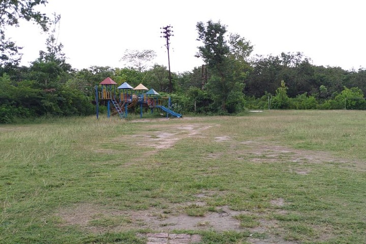 Sister Nivedita Public School-Play Ground