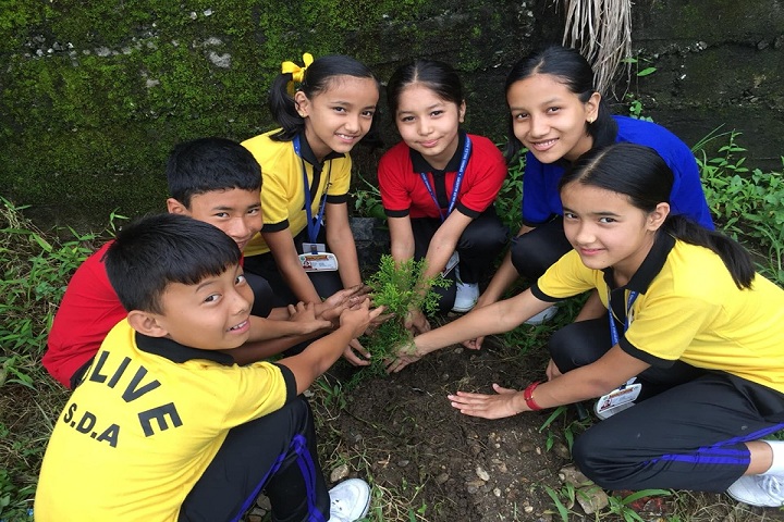 Spring Dales Academy-Plantation