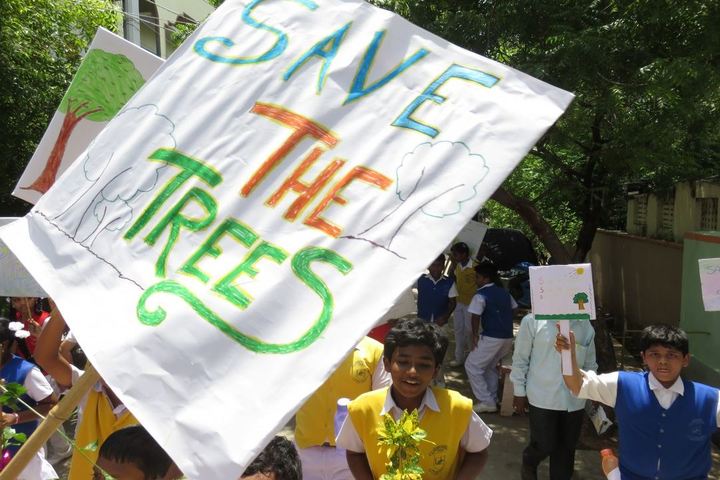 St Anns School-Rally