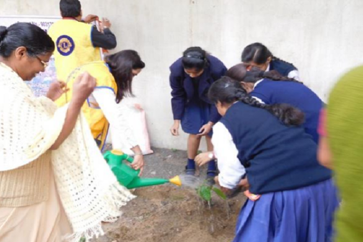 St JosephS Convent High School-Others plantation