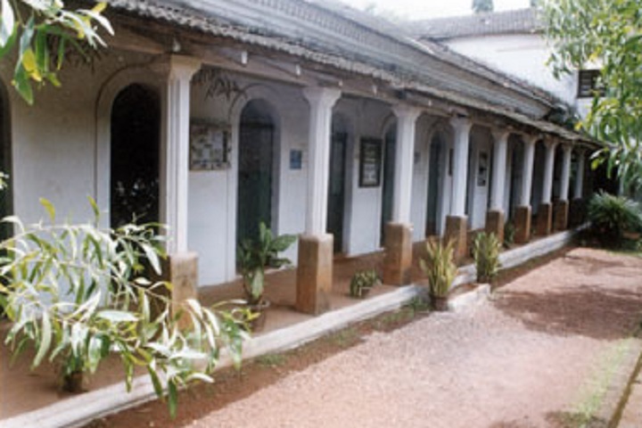 Mater Dei Institution-Campus-View inside
