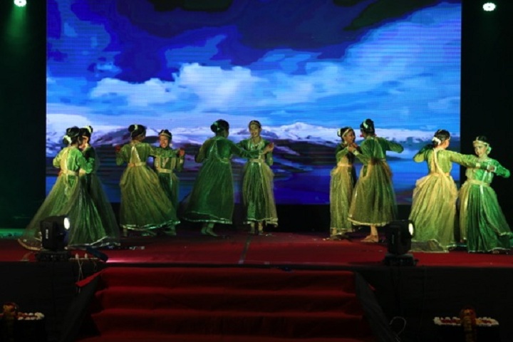 Dr Vijaypat Singhania School-Others programme