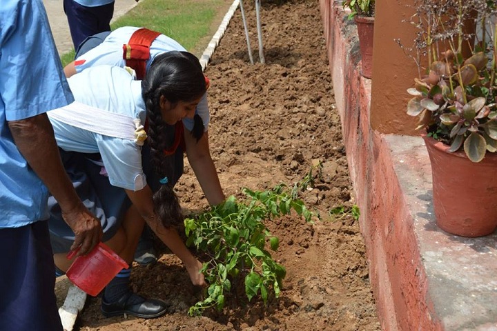 St PaulS High School-Others plantation