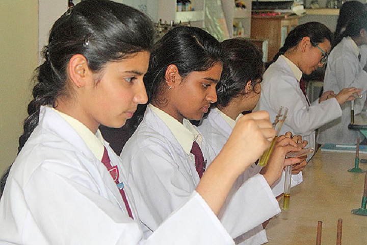 Sacred Heart Senior Secondary School-Laboratory chemistry