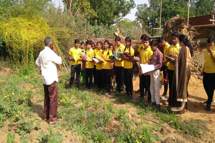 DAV Mukhyamantri Public School-Field Trip