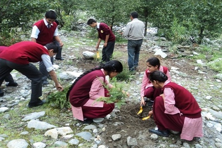 Day Star School-Plantation Activity