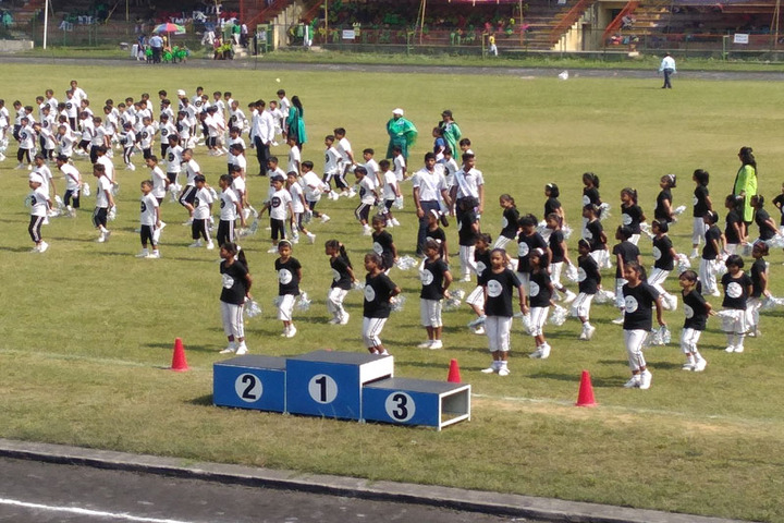 Dayanand Anglo Vedic Public School-Annual Sports