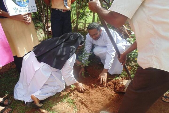 St Peters English Medium High School-Tree Plantation