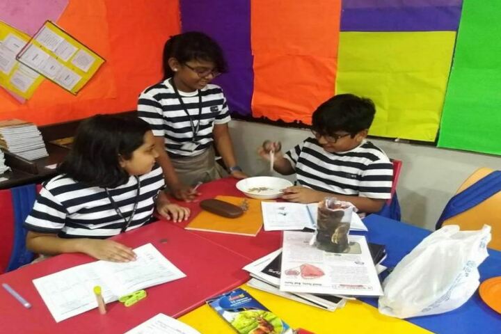 The Indian Public School-Classroom Activity