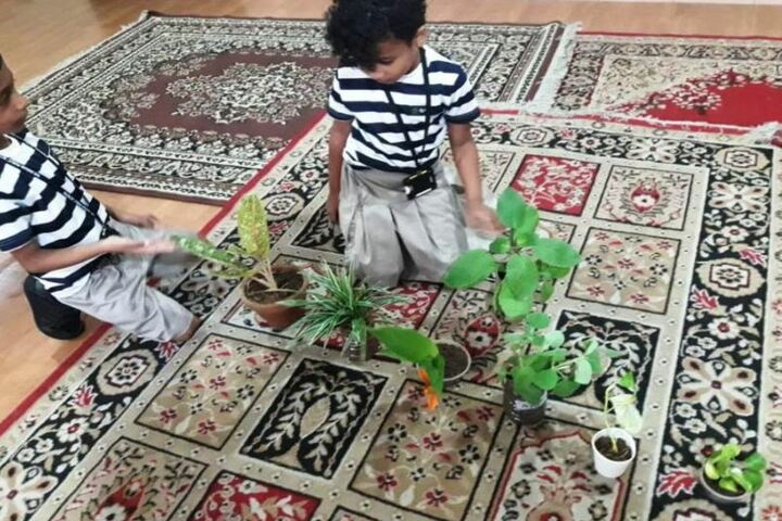 The Indian Public School-Tree Plantation