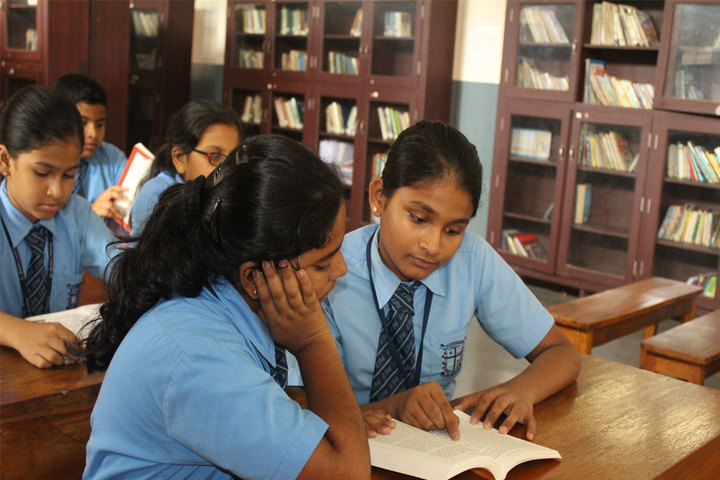 St Patricks Academy-Library